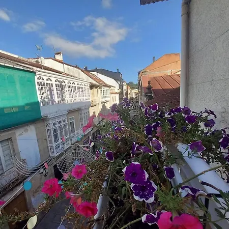 Royal Street Refuge *